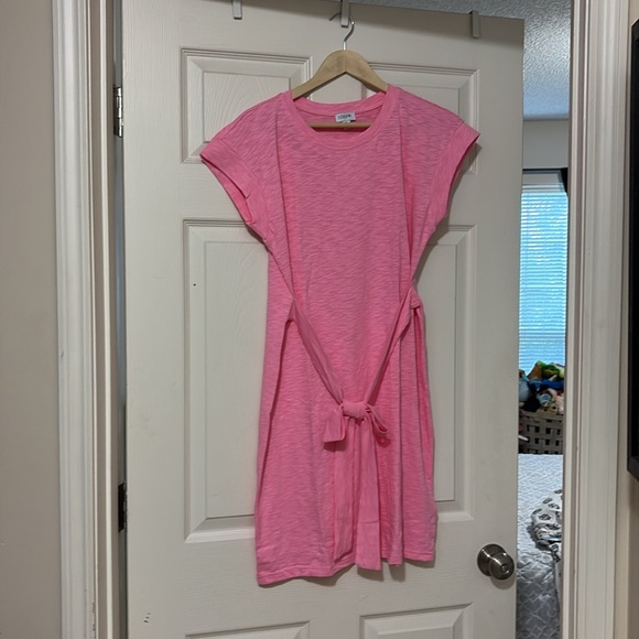 NWT J.Crew Pink Tie-Waist Mini Dress - Picture 3 of 9